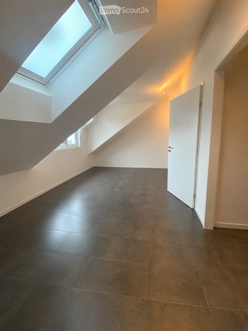 Empty attic or loft space with dark tiled floor, white walls, skylight windows, and a single white door.