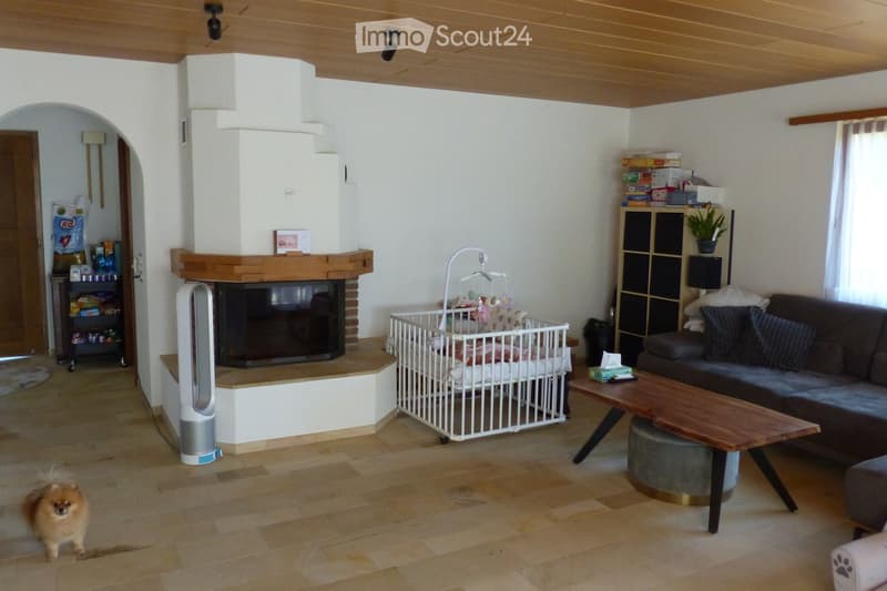 Living room with wooden flooring, fireplace, sofa, coffee table, baby crib, fan, and shelf with potted plant.