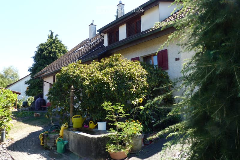 Garden area with a concrete sink, various potted plants, garden tools, and a small pathway leading to a house with a tiled roof and shutters.