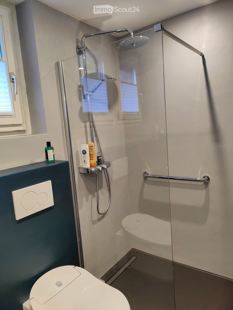 Modern bathroom with glass shower enclosure, toilet, and blue wall.