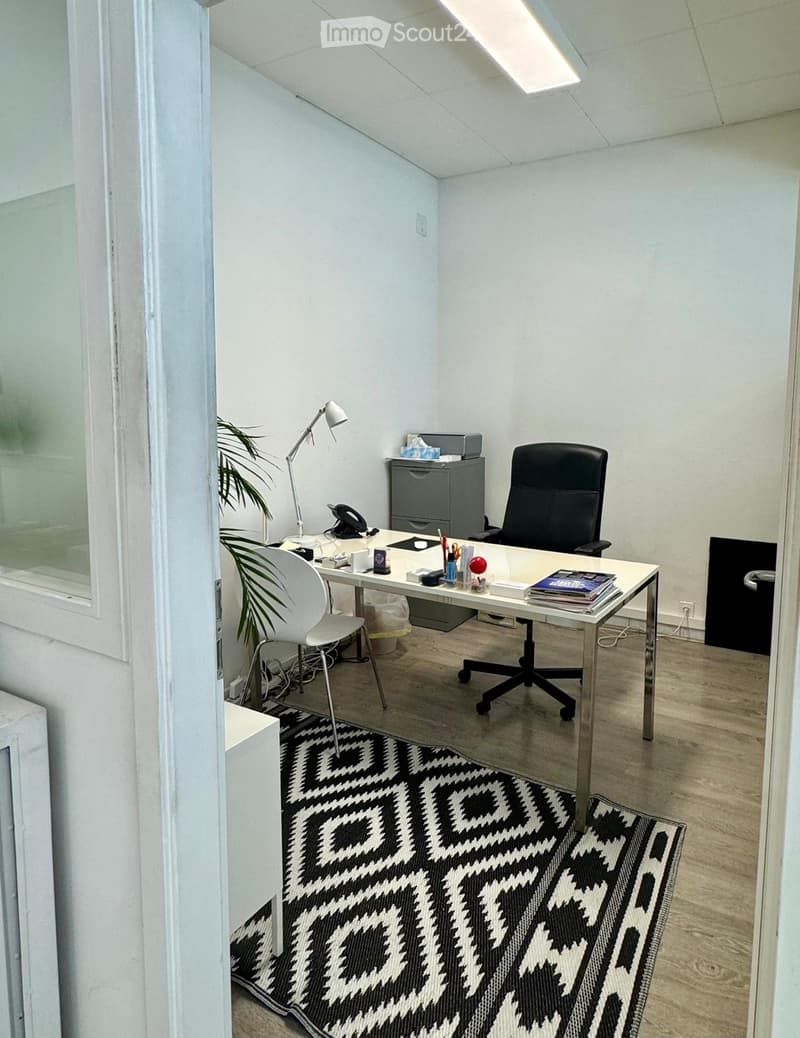 Modern office space with a white desk, ergonomic chairs, a floor lamp, a filing cabinet, and a decorative plant. The room features a black and white geometric rug and a skylight providing natural light.