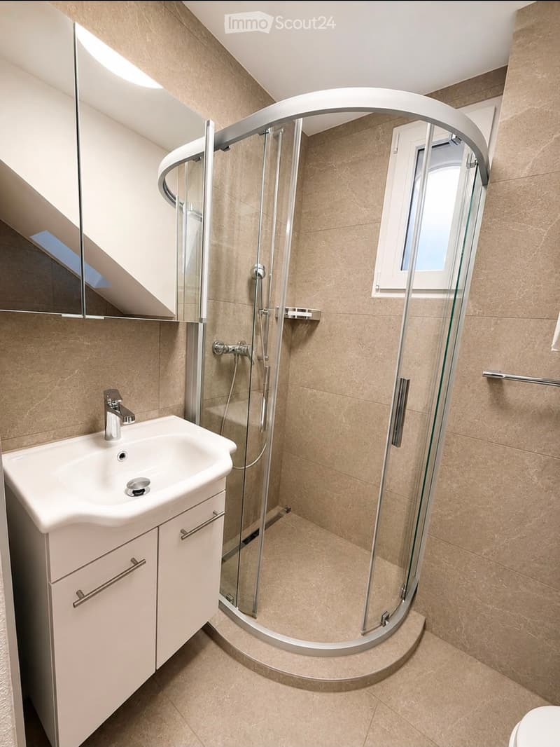 Modern bathroom with a white sink, faucet, cabinet, and a glass-enclosed shower stall.