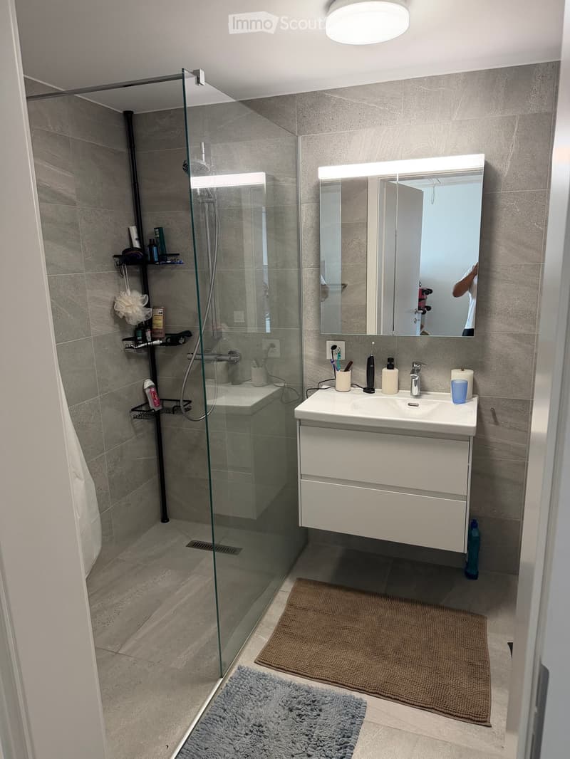 Modern bathroom with a glass-enclosed shower, a white sink with a mirror, and various toiletries on the sink and shelves.