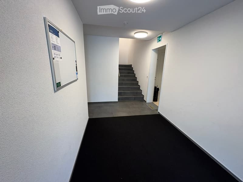 Clean, modern hallway with white walls, black carpet, and a staircase leading upwards. A noticeboard is mounted on the left wall, and a door is visible on the right side.