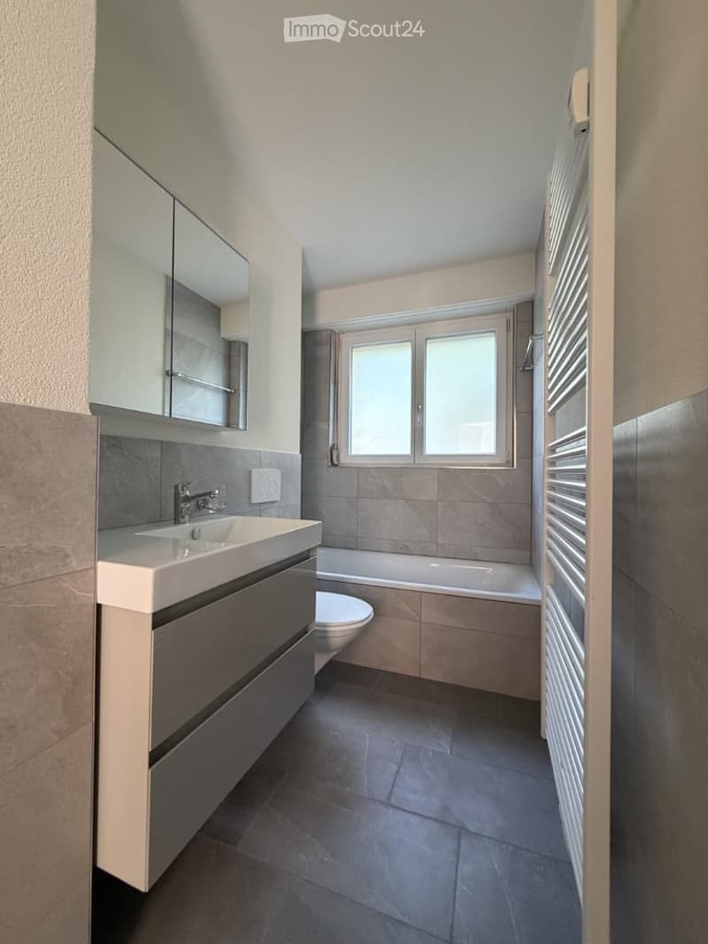 Modern bathroom with a white sink, mirror cabinet, toilet, bathtub, and radiator. Grey tiles on walls and dark tiles on the floor.