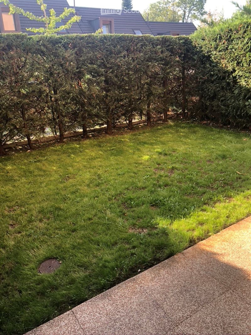Well-maintained garden with a neatly trimmed hedge, a lawn, and a concrete pathway leading to a house with a grey roof and brown exterior.