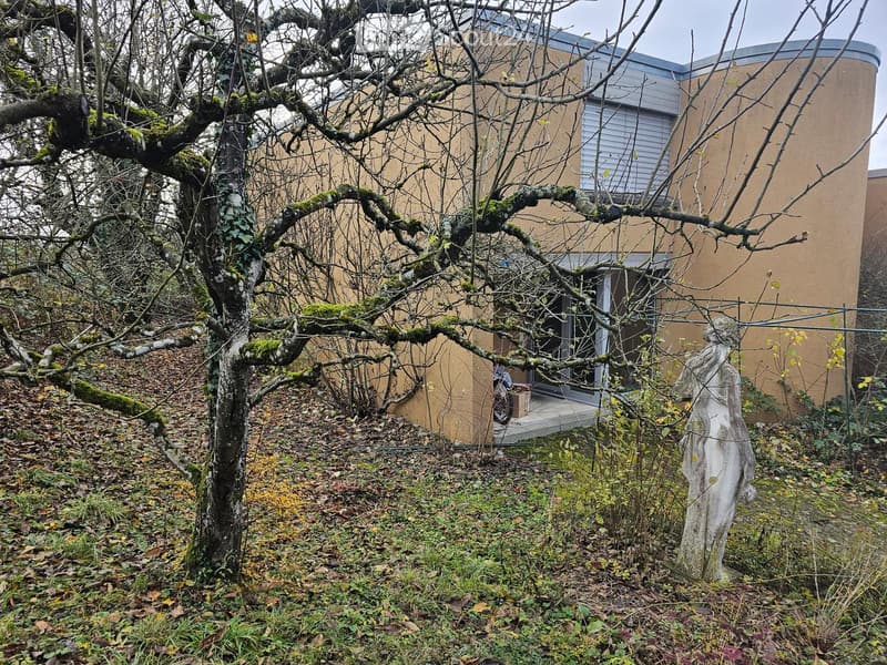 House with curved shape, brown exterior walls, glass windows, glass doors, front yard with a tree and a statue