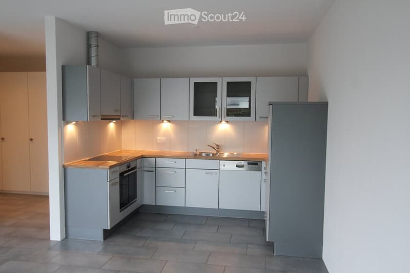 Modern kitchen with grey cabinets, a sink, faucet, oven, and dishwasher. The countertops are light-colored, and the floor is tiled.