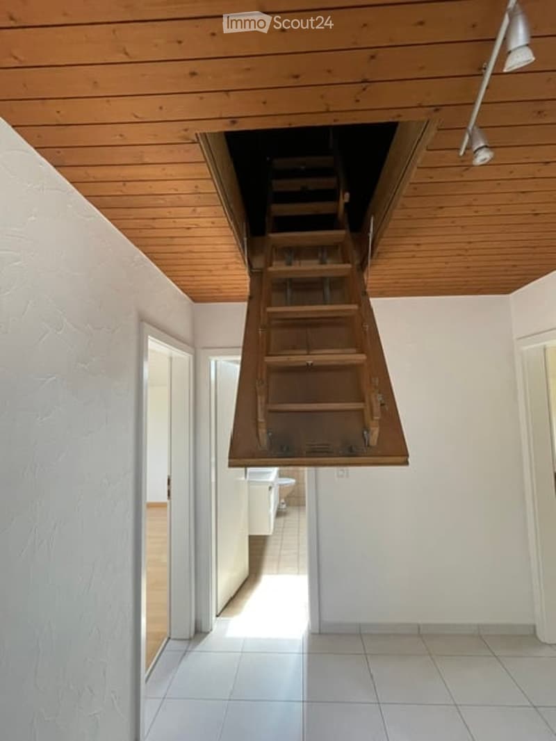 A modern hallway with a wooden ceiling and a built-in loft staircase leading to an upper level. The walls are white, and the floor is tiled.