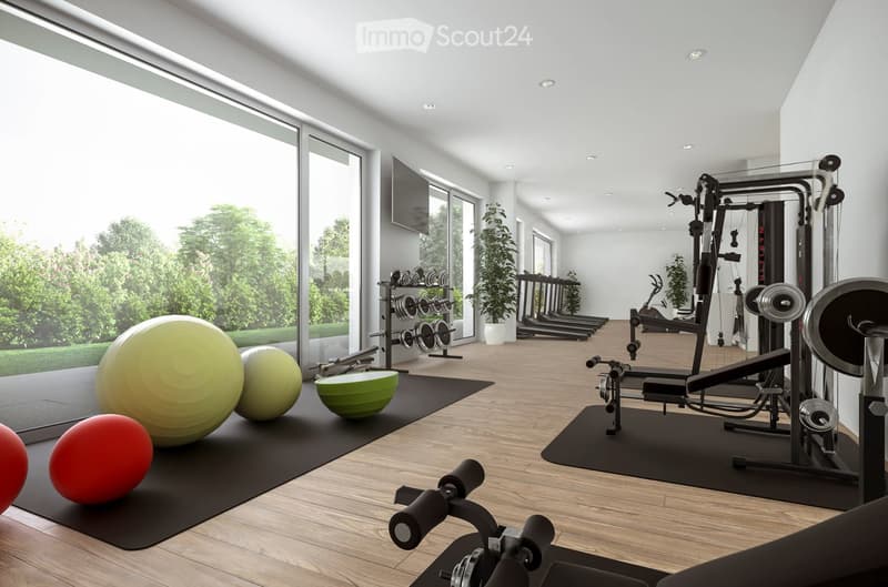 equipped gym room, large windows, weight racks, exercise equipment, workout balls