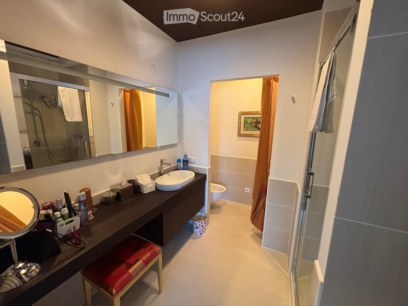 modern bathroom, large mirror, sink, stool, shower area, toilet