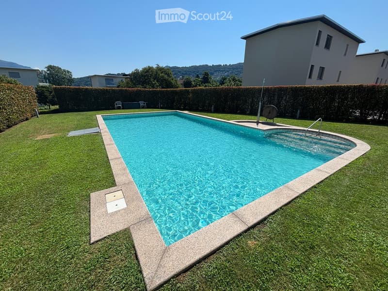An outdoor area with a large swimming pool, surrounded by grass, a hedge, and a house at the back.