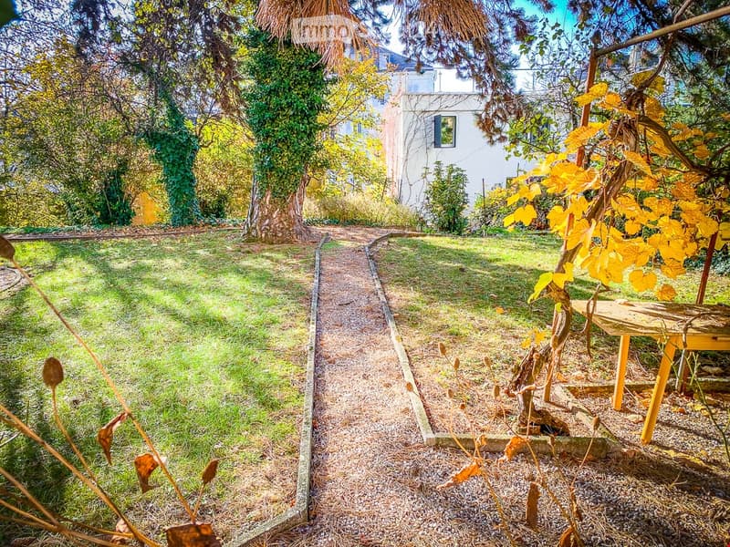 A well-maintained garden with a gravel pathway, grassy areas, trees, and a small wooden bench.