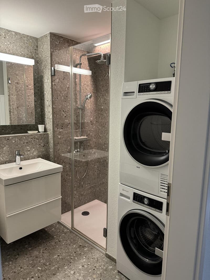 Modern bathroom with a sleek sink, mirror, glass-enclosed shower, and stacked washer/dryer unit.