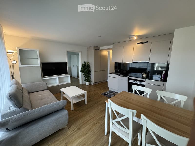 A modern, open-concept living and dining area with a grey sofa, coffee table, TV stand, and a small dining table with chairs. The kitchen features white cabinets, a stove, and an oven. A potted plant adds a touch of greenery.