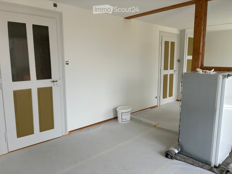Empty room with white walls, grey floor, and two doors with frosted glass panels. A white bucket and a grey appliance are visible.