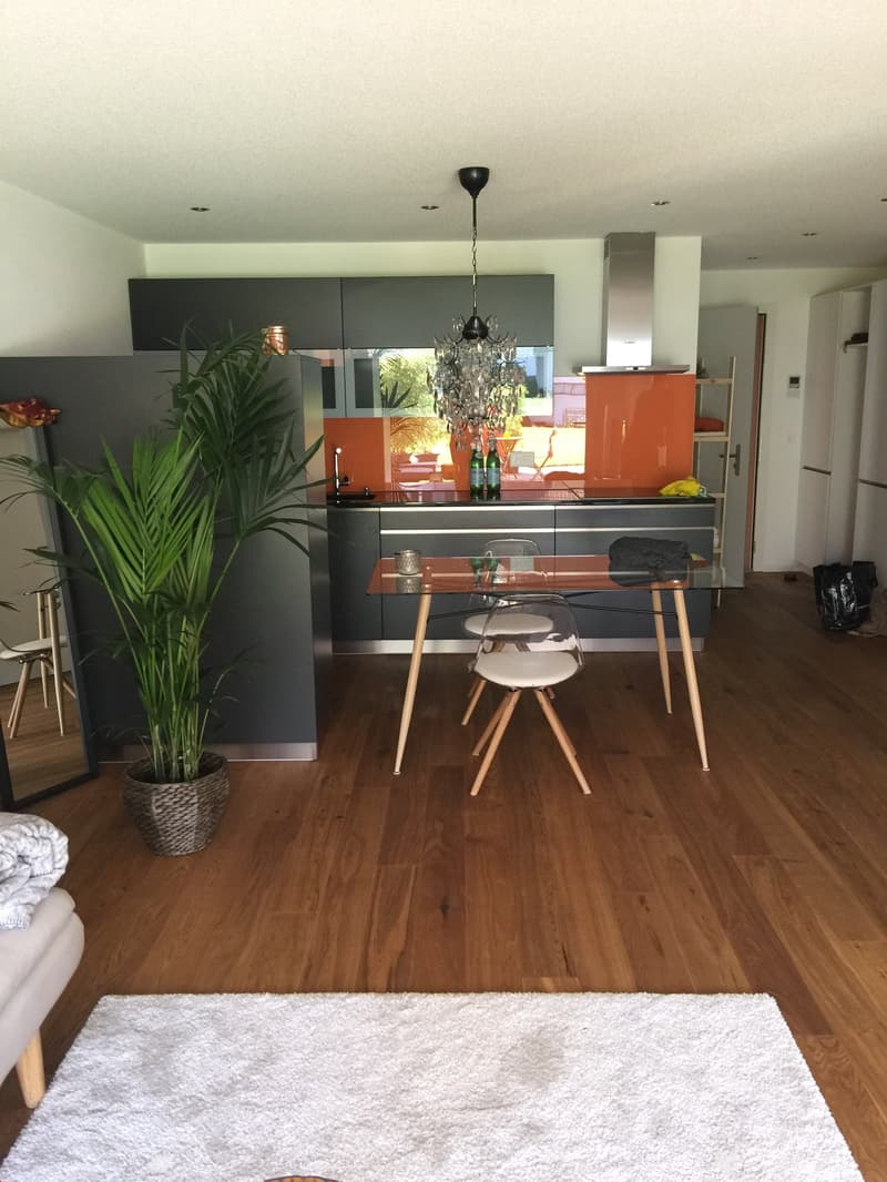 Modern kitchen with grey and orange cabinets, a glass dining table with four chairs, a potted plant, and a chandelier hanging from the ceiling.