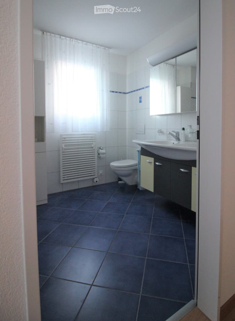 Modern bathroom with dark blue tiles, white walls, a toilet, sink, mirror, and radiator.