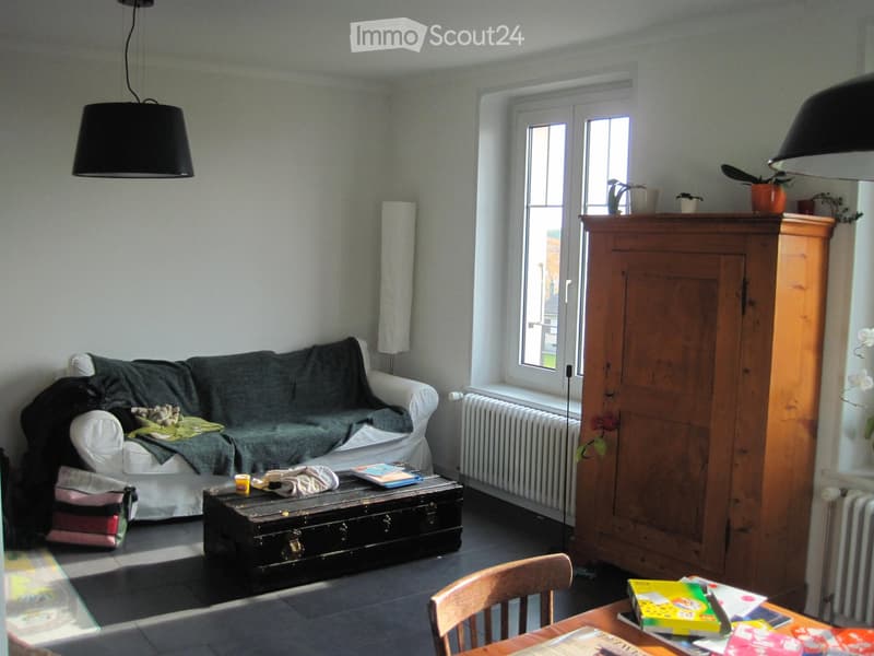 A cozy living room with a grey sofa, a wooden table, a wooden chair, a large wooden cabinet, and a hanging lamp. The room has large windows and a radiator under them.