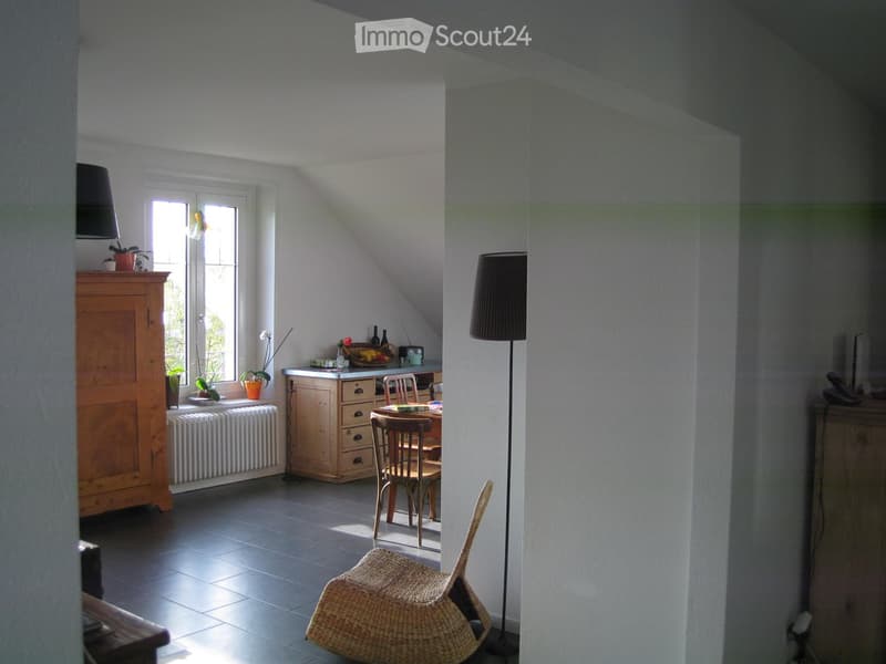 Bright, open living space with a mix of modern and rustic furniture, including a sofa, dining table, chairs, a tall floor lamp, and potted plants on a windowsill.