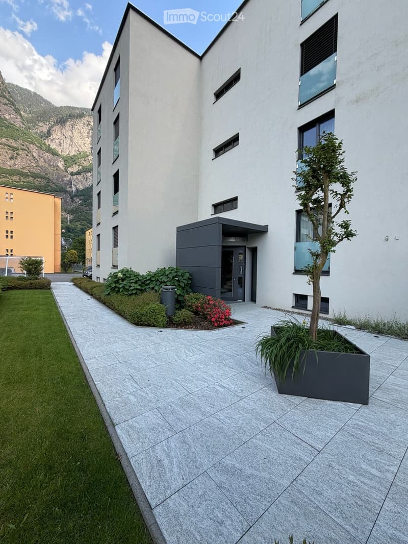 Modern multi-story building with white facade, large windows, and a small landscaped entrance area with a tree, shrubs, and a pathway.