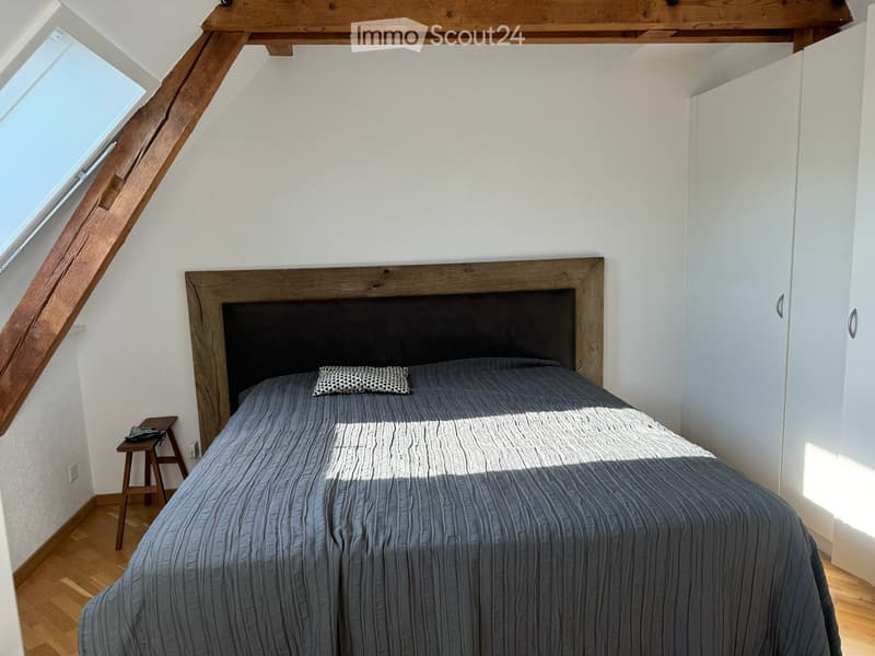 Charmante 2.5-Zimmer-Dachwohnung an der Hallwylstrasse in Zürich 8004 (5)