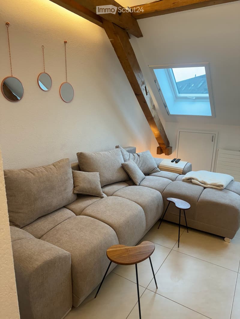 Charmante 2.5-Zimmer-Dachwohnung an der Hallwylstrasse in Zürich 8004 (3)