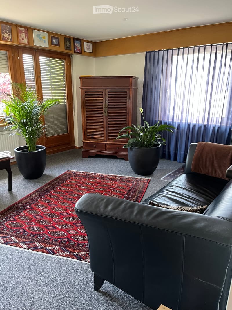 A cozy living room with a black leather sofa, a wooden cabinet, a small table, a colorful rug, and potted plants near the windows.