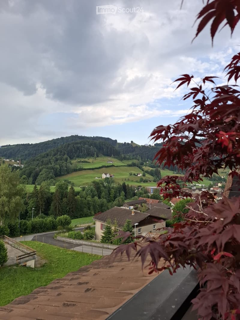 View from a balcony showing a rural landscape with green fields, scattered houses, and a forested hill under a partly cloudy sky.
