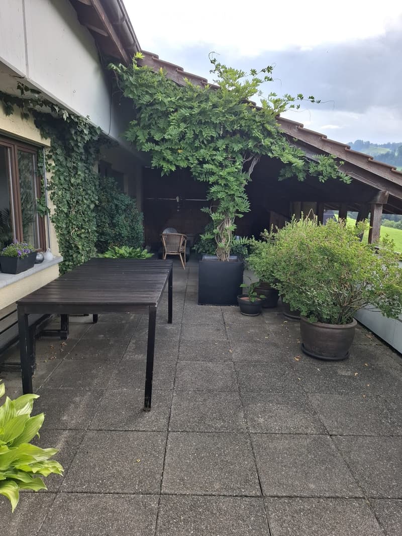 A covered outdoor patio with a wooden table, a wicker chair, and several potted plants, including a large leafy plant in the foreground.