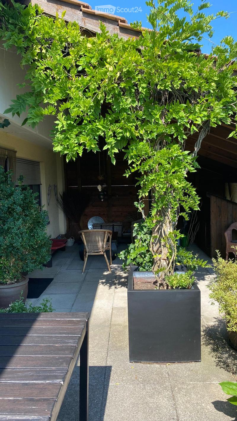 A well-maintained outdoor patio area with a large tree in a planter, wooden bench, wicker chair, and surrounding greenery.