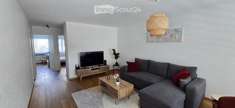Modern living room with grey sectional sofa, wooden coffee table, flat-screen TV on a wooden stand, side table with plant, and a hanging woven lamp.