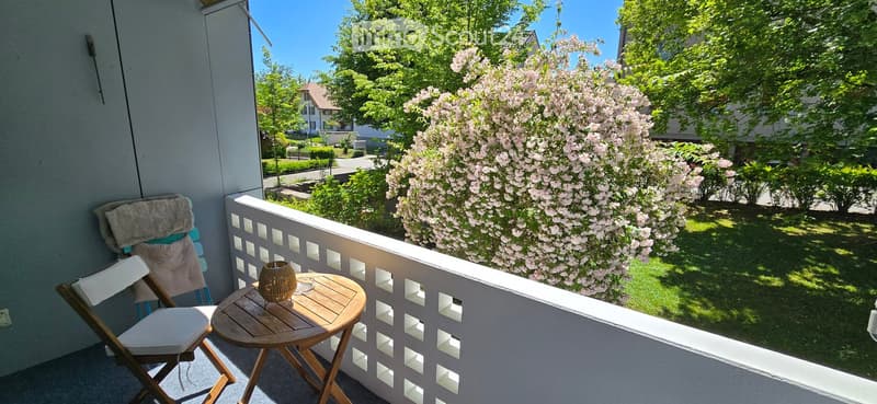Balcony with a small wooden table, a white folding chair, and a decorative vase, overlooking a garden with blooming trees and a residential street.