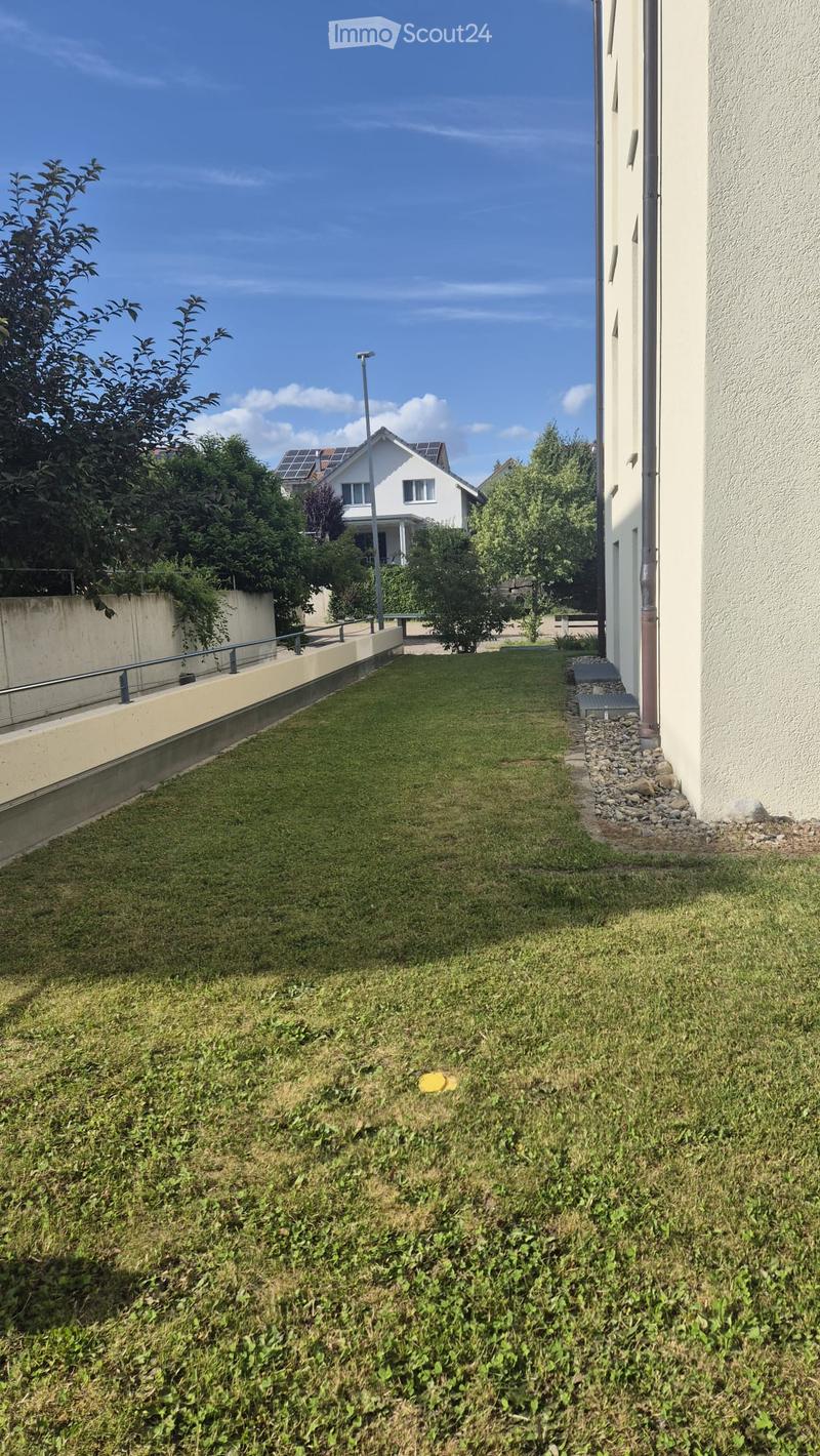 A narrow, grassy pathway bordered by a low concrete wall on one side and a house wall on the other, with trees and a solar-paneled roof visible in the background.