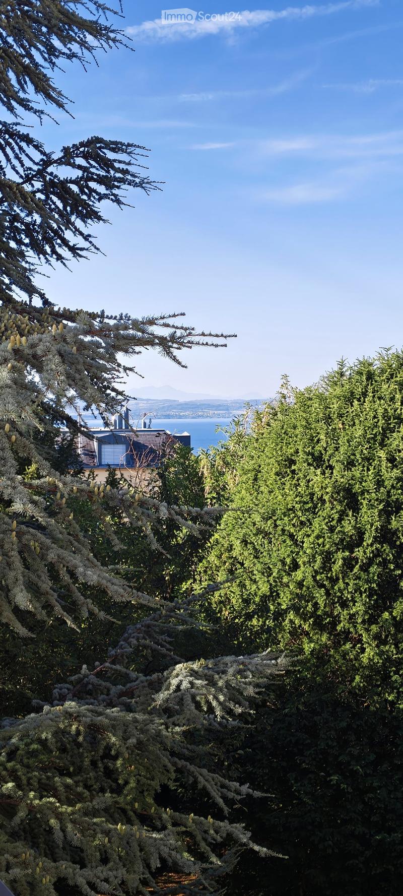 A lush garden with dense evergreen trees and shrubs, offering a scenic view of a body of water and distant hills under a clear blue sky.