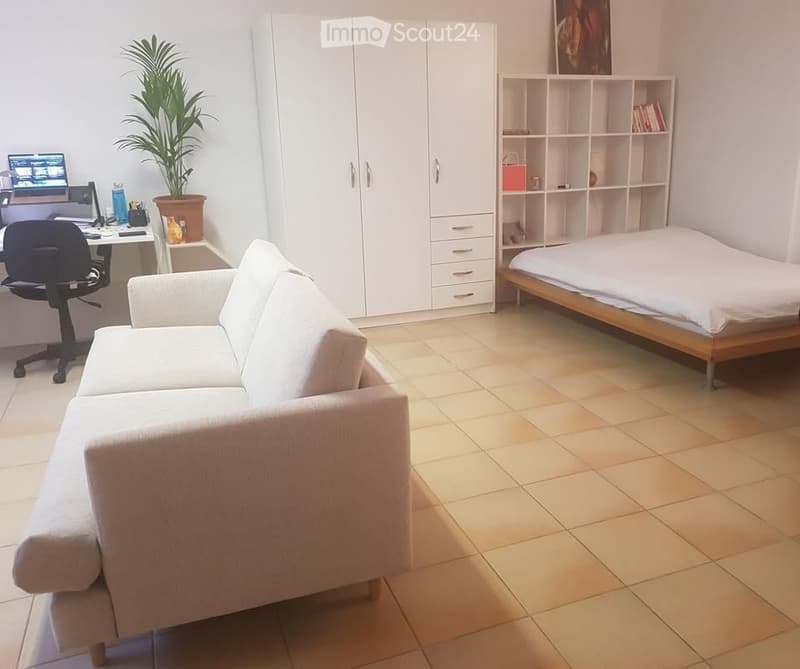 A modern, multi-functional room with a sofa, a bed, a desk with a laptop, a chair, a potted plant, a white cabinet, and a shelf with books and decorative items.