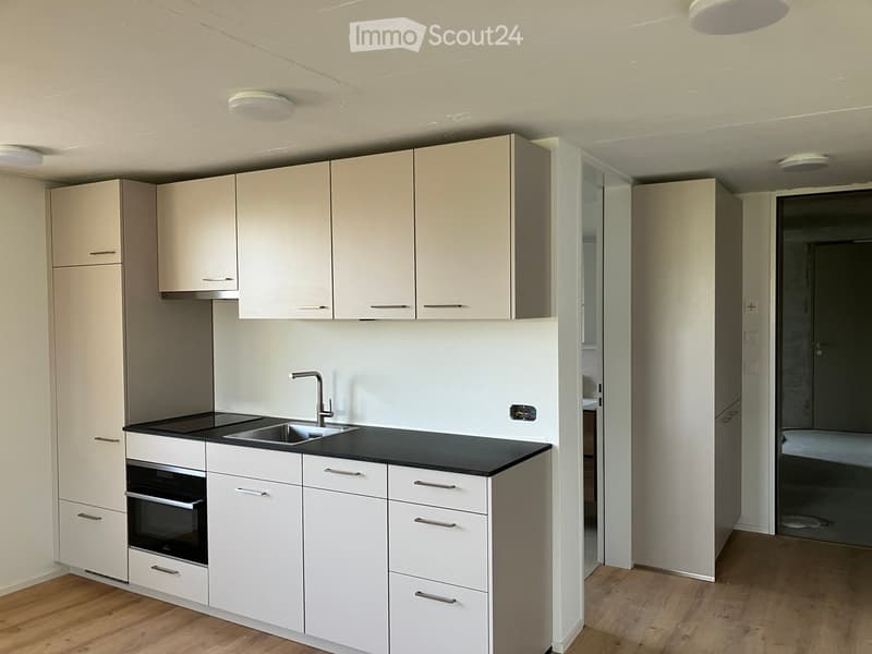 Modern kitchen with white cabinets, black countertop, stainless steel sink and faucet, and built-in oven. Wooden flooring and open layout.