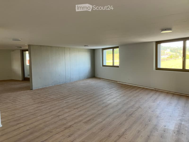 Empty room with wooden flooring, white walls, and large windows offering a view of the outdoors.