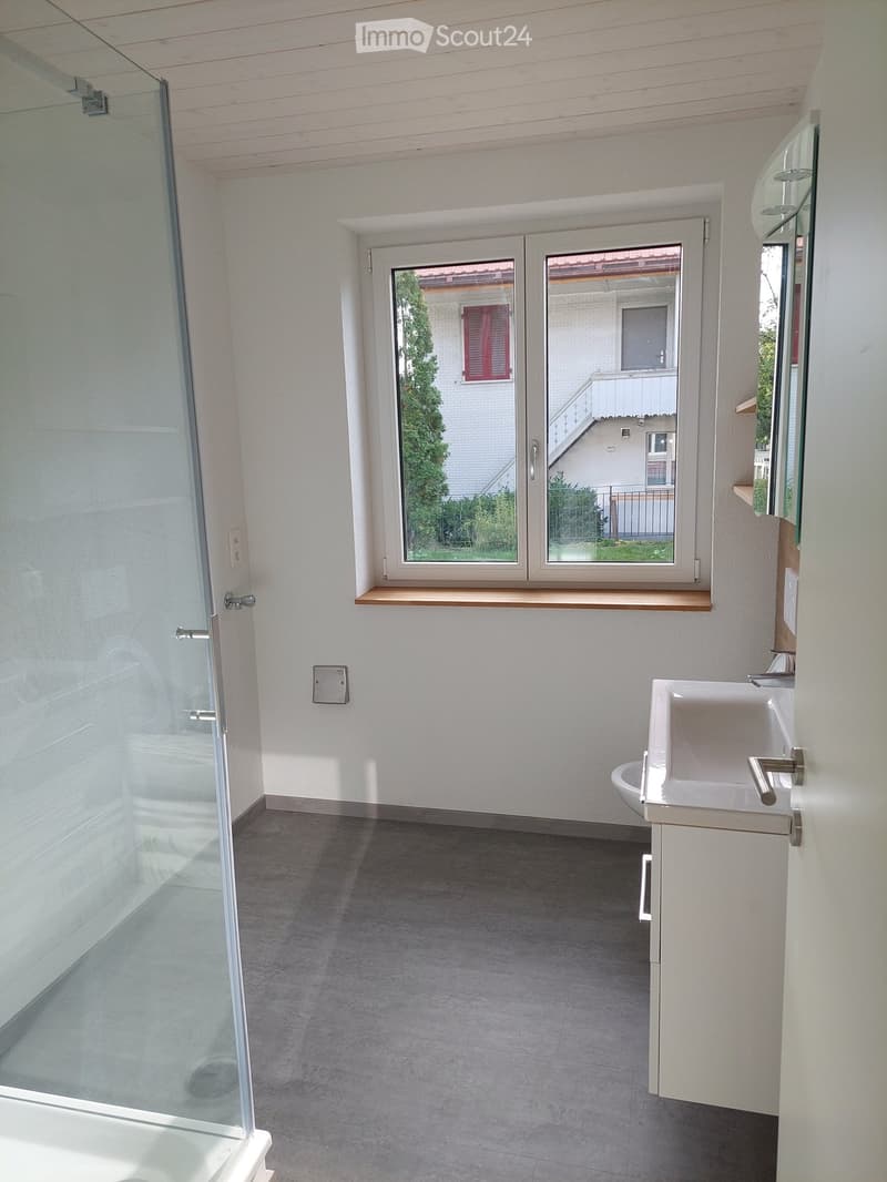 Modern bathroom with a glass shower enclosure, a white sink, and a large window offering a view of the garden and neighboring house.