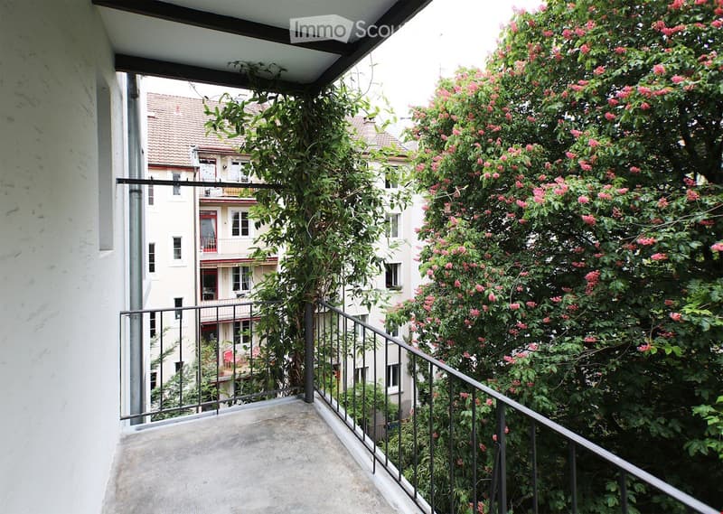 Terrace with metal railing, covered by plants, white wall, green foliage