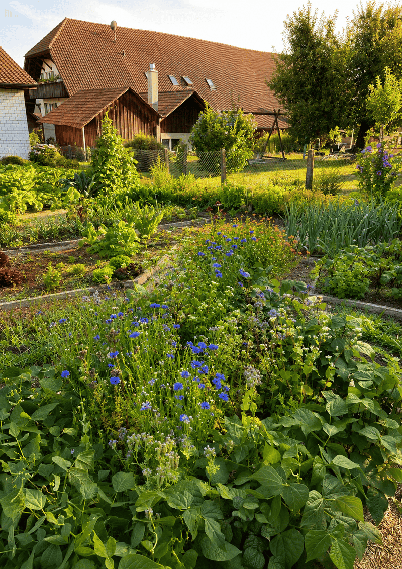 A well-maintained garden with a variety of colorful flowers, vegetables, and shrubs, surrounded by a wooden fence and a traditional house with a red-tiled roof in the background.