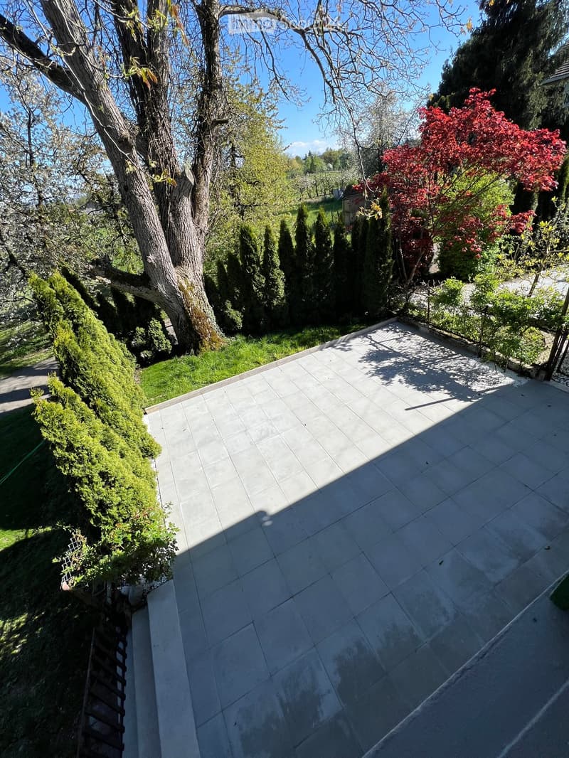 A paved patio area with a large tree and shrubs, surrounded by a grassy lawn and hedges.