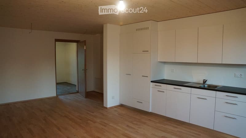Empty kitchen with white cabinets, wooden floor, black countertop, stainless steel sink, faucet, dishwasher