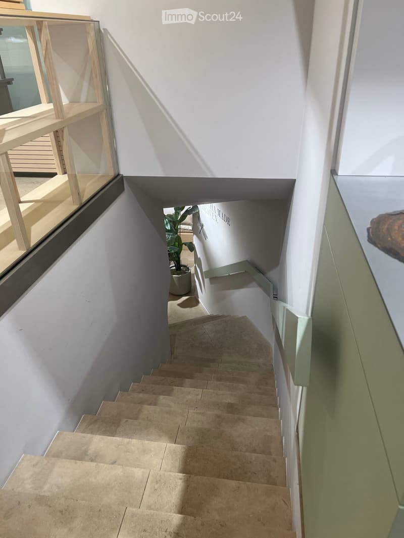 marble steps, white walls, green handrail, potted plant