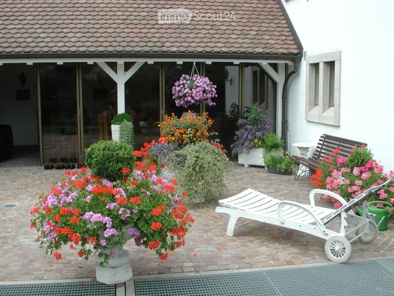 A well-maintained garden area with colorful flowers in pots and hanging baskets, a white lounge chair, and a wooden bench near the house entrance.