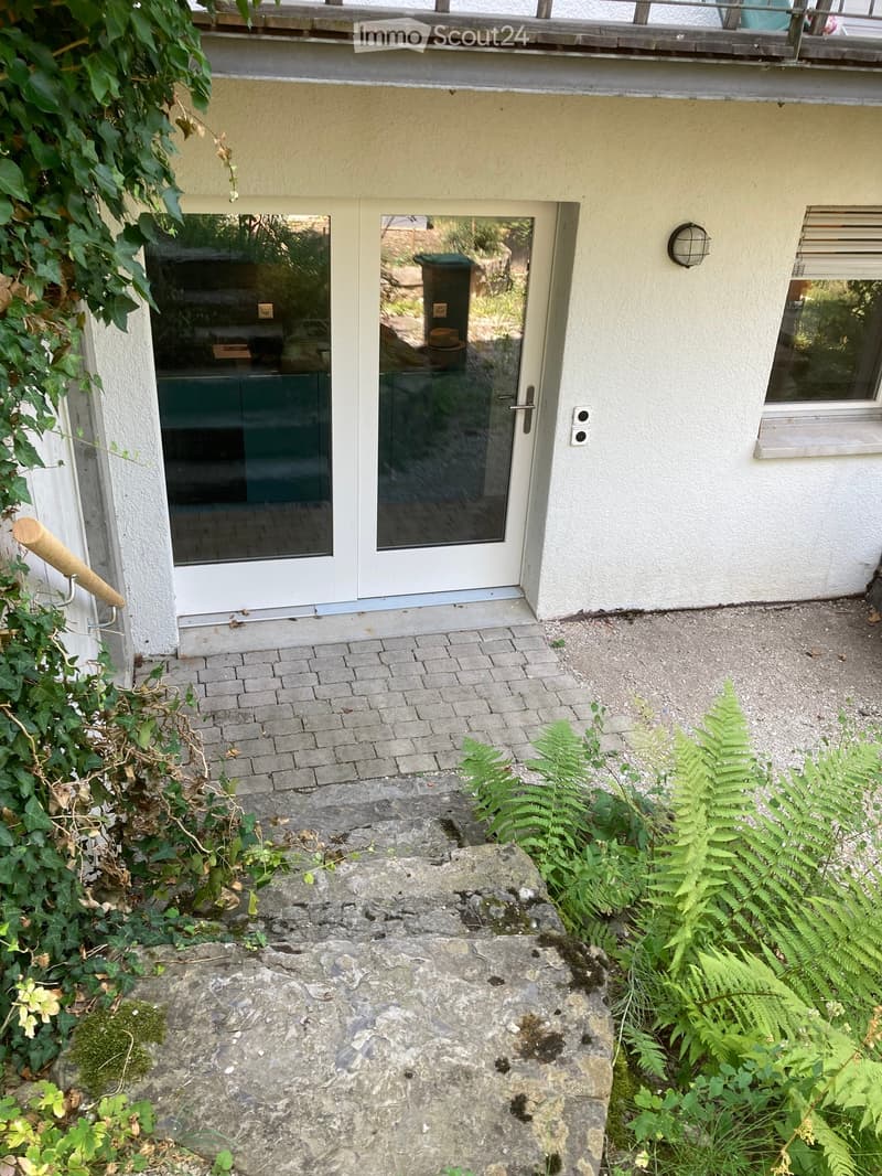 Entrance area with a glass door, brick pathway, stone steps, and surrounding greenery including ferns and ivy.