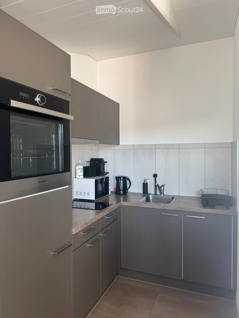 Modern kitchen with grey cabinets, stainless steel appliances, and a light-colored countertop.
