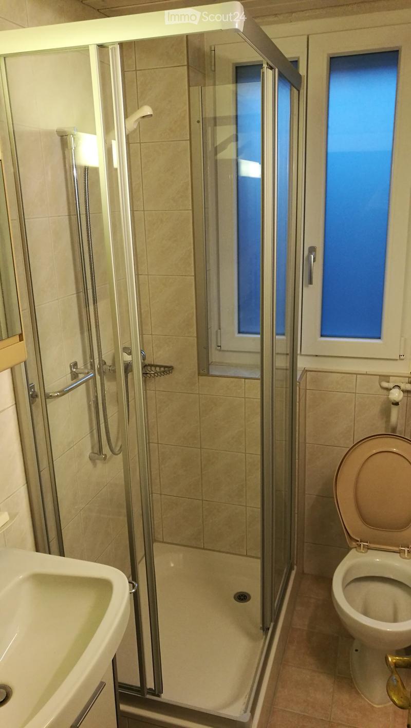 shower, toilet, sink, mirror, window