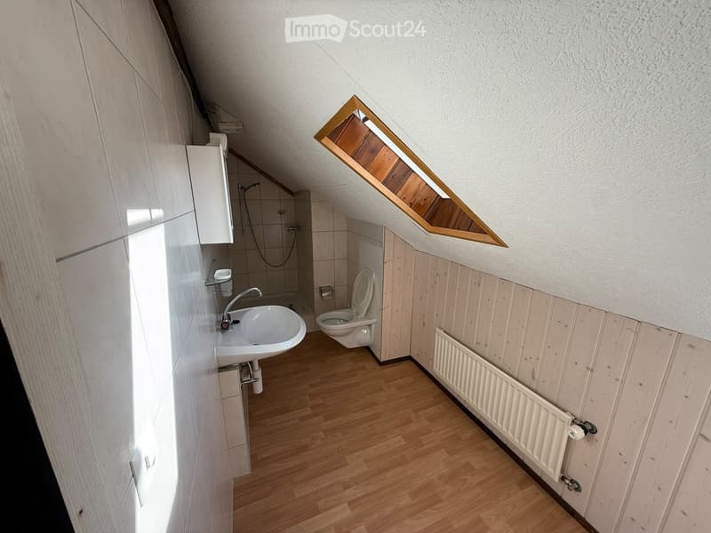 Bathroom with wooden flooring, white radiator, sink, toilet, shower, and a skylight window above the toilet.