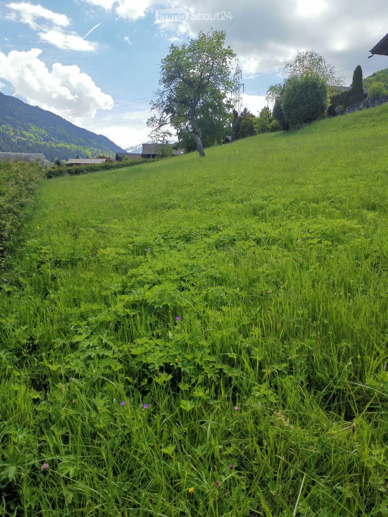 Lush green meadow with tall grass and wildflowers, surrounded by trees and distant mountains under a partly cloudy sky.